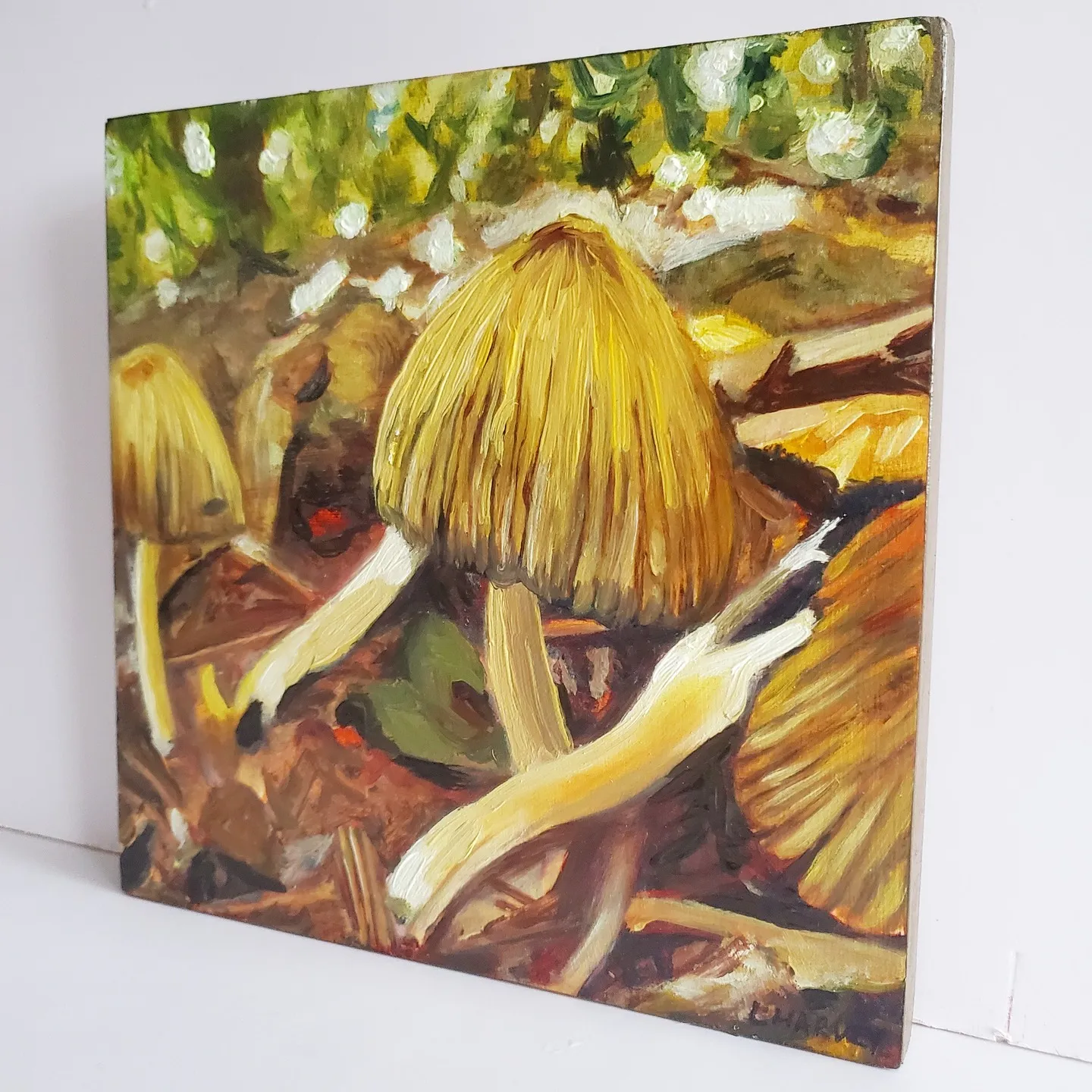 Woodland Coprinellus